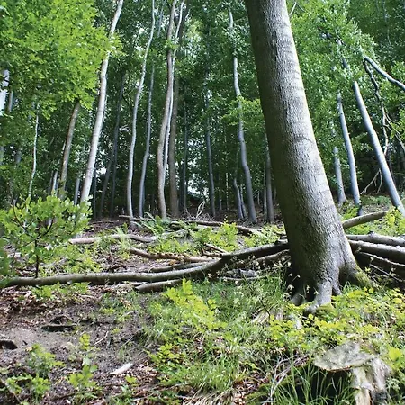 بيت للعطل 3 Bedroom Stunning In Extertal