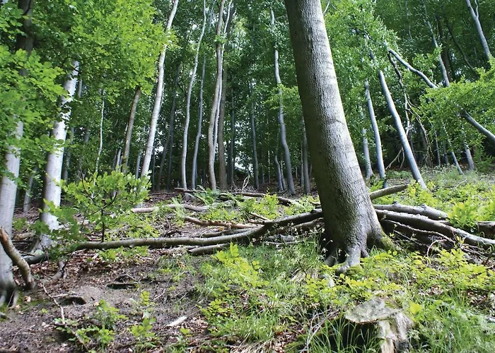 Σπίτι διακοπών 3 Bedroom Stunning In Extertal